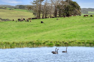 Property 2369 Cobden - Port Campbell Road, PORT CAMPBELL VIC 3269 IMAGE 0