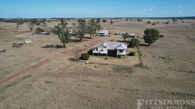 Property Jandowae QLD 4410 IMAGE 0