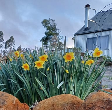 Property 85 Billing Road, West Kentish TAS 7306 IMAGE 0
