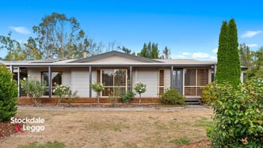 Property 38 Wells Road, Mirboo North VIC 3871 IMAGE 0