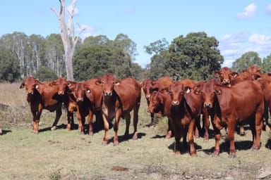Property 789 Coppin Road, Mungungo QLD 4630 IMAGE 0