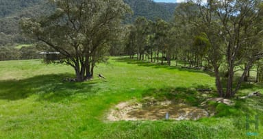 Property 3 Wonnangatta Road, Dargo VIC 3862 IMAGE 0