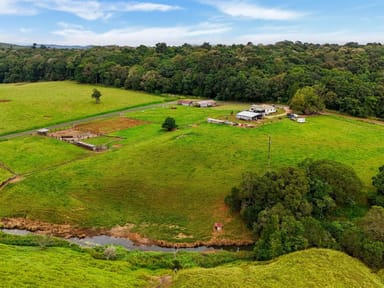 Property 464 Boar Pocket Road, Yungaburra QLD 4884 IMAGE 0