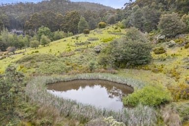 Property 135 Longeys Road, Birchs Bay TAS 7162 IMAGE 0