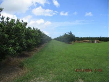 Property Lot 6 Eardleys Road, Welcome Creek QLD 4670 IMAGE 0