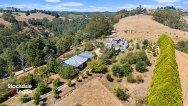 Property 110 Longs Road, Boolarra South VIC 3870 IMAGE 0