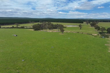 Property Lot 1 & 2 Rosedale-Flynns Creek Road, Flynn VIC 3844 IMAGE 0