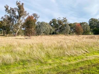 Property Lots 3 & 4 Mcleod Street, Gerogery NSW 2642 IMAGE 0