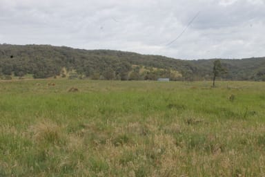 Property 1029 Jerrabattgulla Road, BRAIDWOOD NSW 2622 IMAGE 0