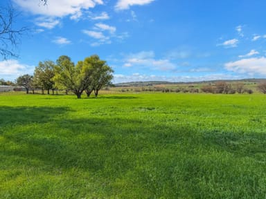 Property 9312 New England Highway, Stonehenge NSW 2370 IMAGE 0