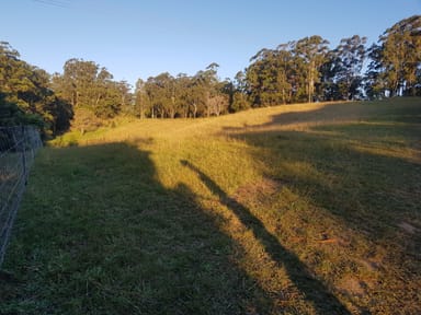 Property Lot 21 Sharwill Drive, VALLA NSW 2448 IMAGE 0