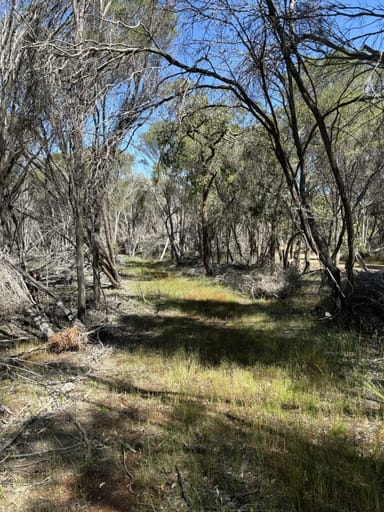 Property Avon Location, 220 Toodyay Rd, Toodyay WA 6566 IMAGE 0