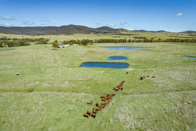 Property Lot 16 McMeniman Road, Ballandean QLD 4382 IMAGE 0