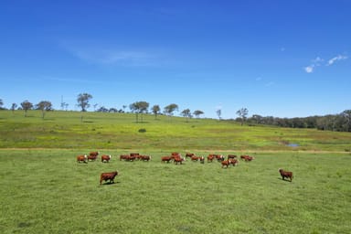 Property 2617 Mount Fox Road, MOUNT FOX QLD 4850 IMAGE 0
