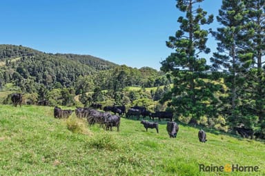 Property 1691 Coramba Road, Megan NSW 2453 IMAGE 0