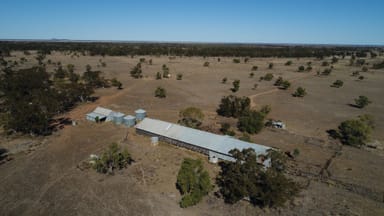 Property 20 Caswell Street, Coonamble NSW 2829 IMAGE 0