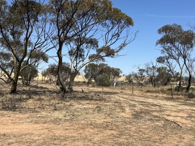 Property Lot 20248 & 26548 Doherty Road, South Kununoppin WA 6489 IMAGE 0