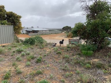 Property 33 France Street, Hopetoun WA 6348 IMAGE 0