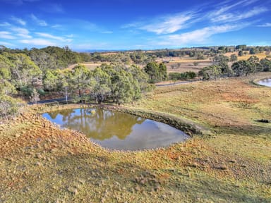 Property Lot 337 Bucky Springs Road, BOMBALA NSW 2632 IMAGE 0