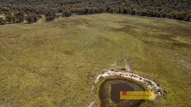 Property 2493 Sandy Creek Road, Dunedoo NSW 2844 IMAGE 0