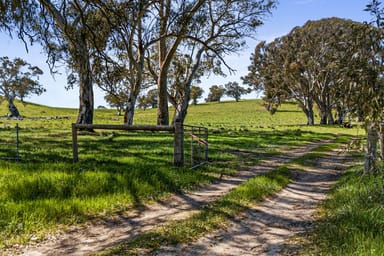 Property Lot 197 Craneford Road, Flaxman Valley SA 5235 IMAGE 0