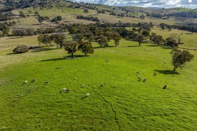 Property 2306 Bigga Road, Bigga NSW 2583 IMAGE 0