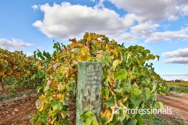 Property Lot 2/ Myall Street, Cardross VIC 3496 IMAGE 0