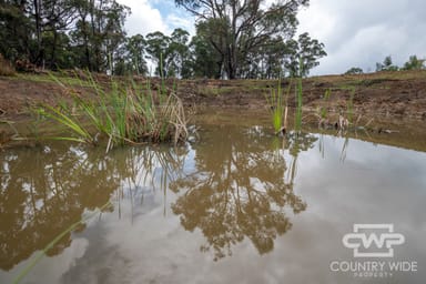 Property 93, 470 Silent Grove Road, TORRINGTON NSW 2371 IMAGE 0