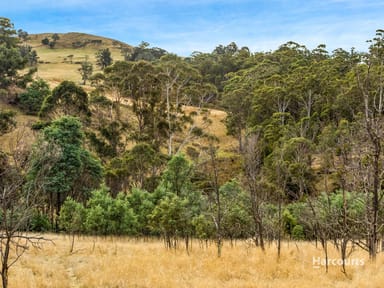 Property Yarlington Road, COLEBROOK TAS 7027 IMAGE 0