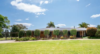 Property 251 PINE HILL ROAD, NARRANDERA NSW 2700 IMAGE 0