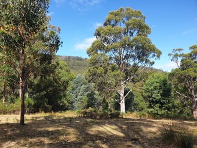 Property Lot 5 Liddells Road, CRABTREE TAS 7109 IMAGE 0