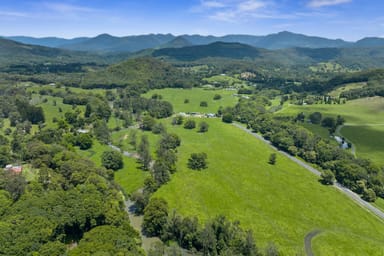 Property 981 Numinbah Road, Crystal Creek NSW 2484 IMAGE 0