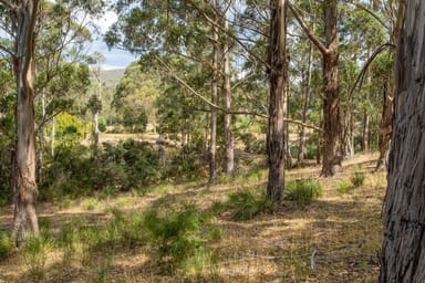 Property 28 Cathedral Road, Margate TAS 7054 IMAGE 0