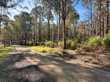 Property Lot 5 Gardiners Creek Road, ST MARYS TAS 7215 IMAGE 0