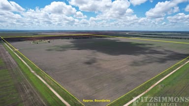 Property 822 Inverai Kate Plain Road, Jandowae QLD 4411 IMAGE 0