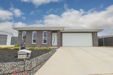 Property 12 Murrayview Court, Merbein VIC 3505 IMAGE 0