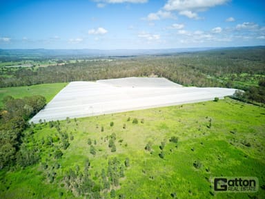 Property 211 Sandy Creek Road, Grantham QLD 4347 IMAGE 0