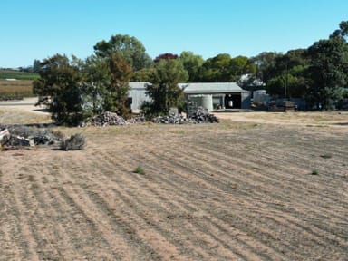 Property 7 The Avenue, Waikerie SA 5330 IMAGE 0
