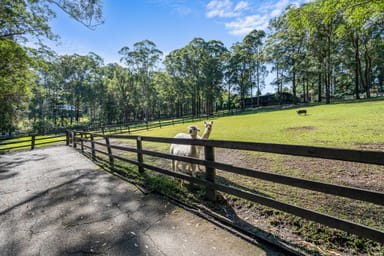 Property 165 Glenning Road, GLENNING VALLEY NSW 2261 IMAGE 0