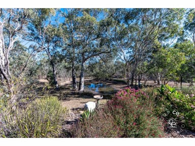 Property 74 Magarey Road, Mount Torrens SA 5244 IMAGE 0