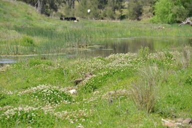 Property 6292 Killarney Gap Road, NARRABRI NSW 2390 IMAGE 0