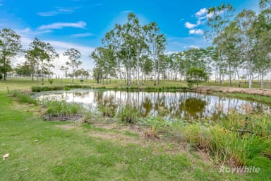 Property 439 Eureka Station Road, Eureka QLD 4660 IMAGE 0