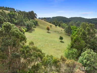 Property 325 One Chain Road, KARDELLA VIC 3951 IMAGE 0