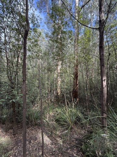 Property 355 Ninks Road, St Andrews VIC 3761 IMAGE 0