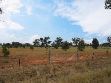 Property 158, DP 755113 Tullamore Road, PEAK HILL NSW 2869 IMAGE 0