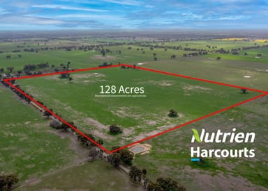 Property "Barneys", CA 4 Boundary Road, NORONG VIC 3682 IMAGE 0