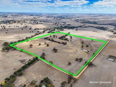 Property 138 Mcconachys Road, HENTY VIC 3312 IMAGE 0