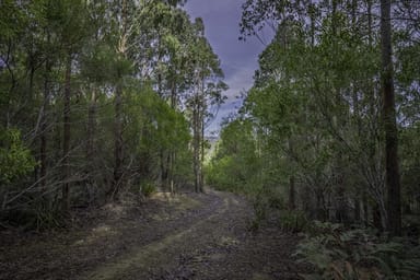Property JUDBURY TAS 7109 IMAGE 0