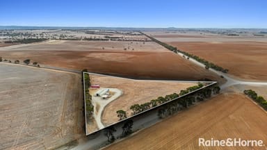 Property 207 Eckert Road, Belvidere SA 5255 IMAGE 0