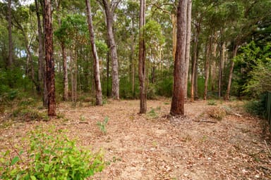 Property 49 Plackett Drive, Pemberton WA 6260 IMAGE 0